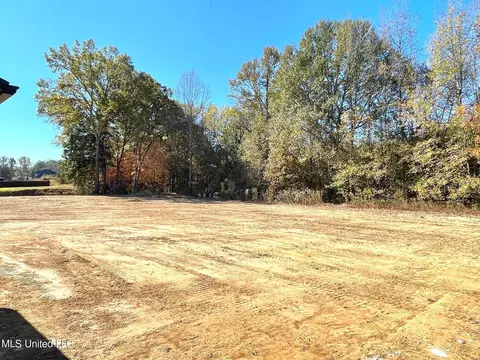 5255 Grays Valley Dr, Hernando, MS 38632 photo 34