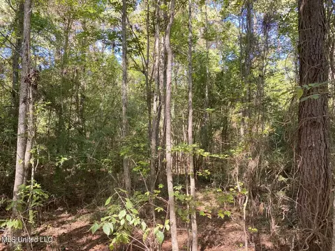 River Bend Road, Columbia, MS 39429 photo 10