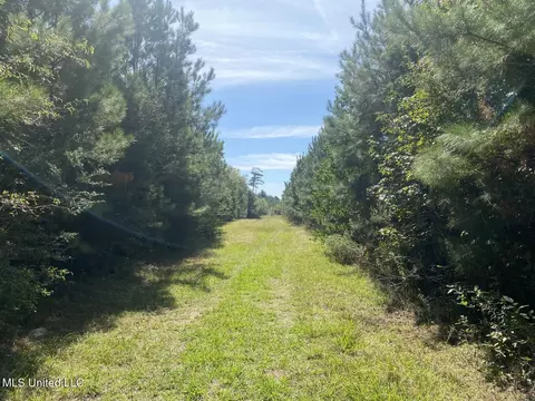 River Bend Road, Columbia, MS 39429 photo 7