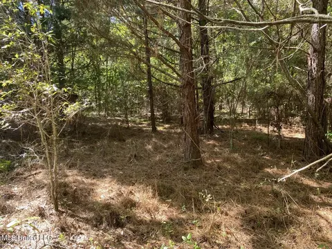 River Bend Road, Columbia, MS 39429 photo 18