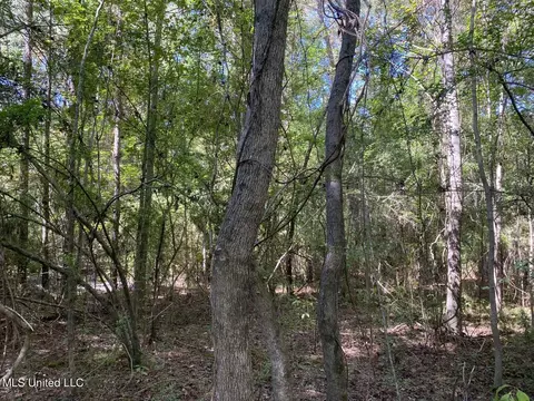 River Bend Road, Columbia, MS 39429 photo 11