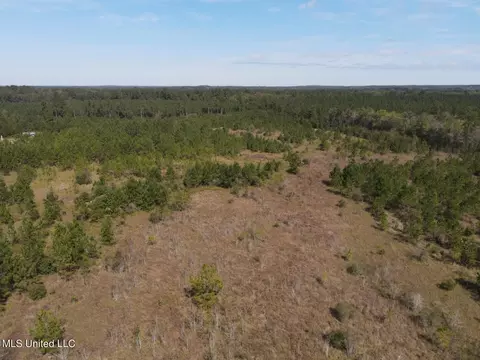River Bend Road, Columbia, MS 39429 photo 22