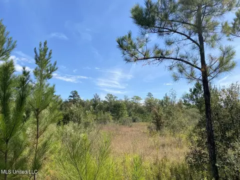 River Bend Road, Columbia, MS 39429 photo 5