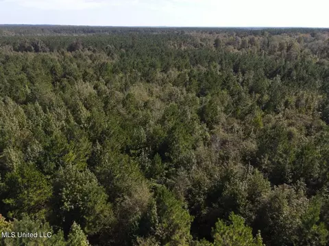 River Bend Road, Columbia, MS 39429 photo 25