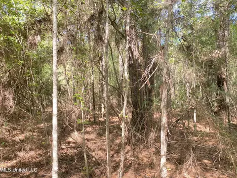 River Bend Road, Columbia, MS 39429 photo 3