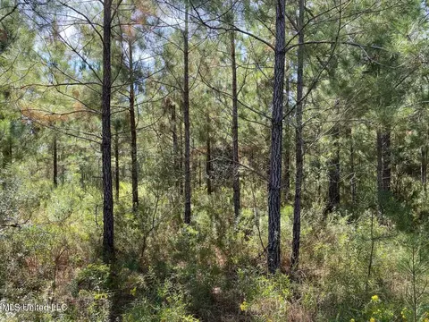 River Bend Road, Columbia, MS 39429 photo 4