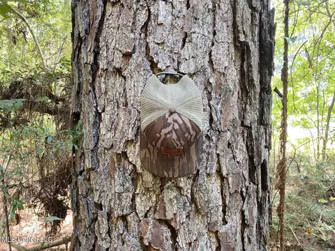 River Bend Road, Columbia, MS 39429 photo 12