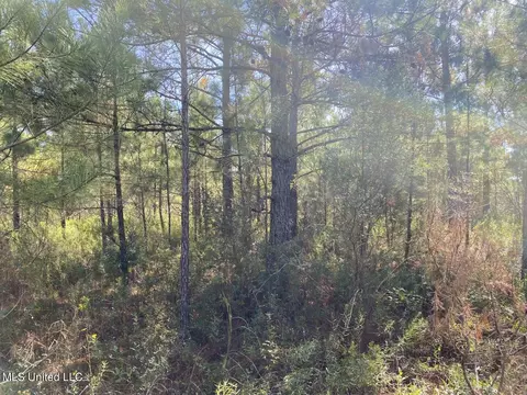 River Bend Road, Columbia, MS 39429 photo 16