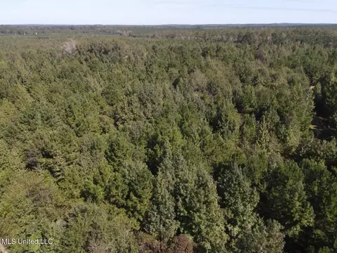 River Bend Road, Columbia, MS 39429 photo 24