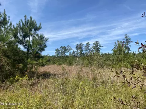 River Bend Road, Columbia, MS 39429 photo 6