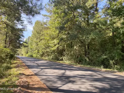 River Bend Road, Columbia, MS 39429 photo 8