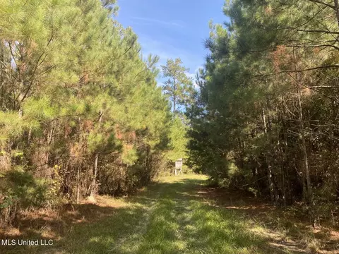 River Bend Road, Columbia, MS 39429