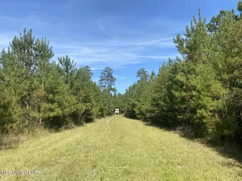 River Bend Road, Columbia, MS 39429 photo 2