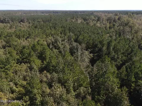 River Bend Road, Columbia, MS 39429 photo 26
