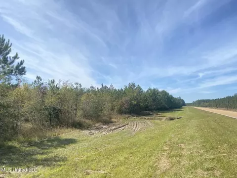 River Bend Road, Columbia, MS 39429 photo 19