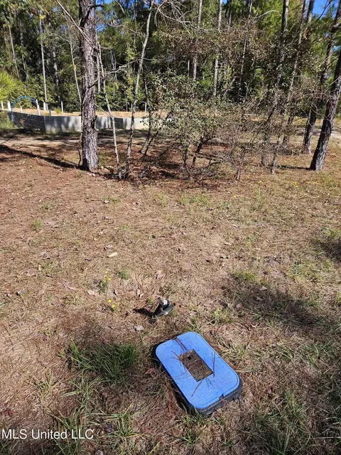 1 N Fork Ave, Petal, MS 39465 photo 3