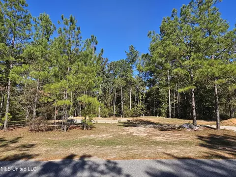 1 N Fork Ave, Petal, MS 39465 photo 2