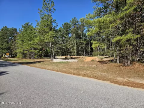 1 N Fork Ave, Petal, MS 39465 photo 5