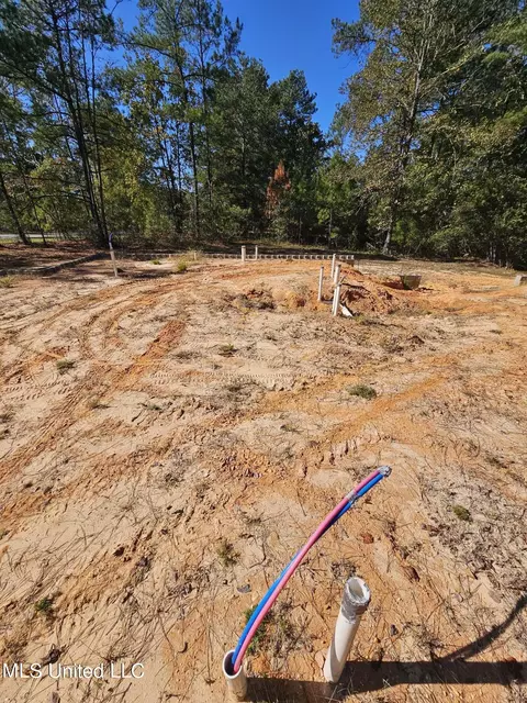 1 N Fork Ave, Petal, MS 39465 photo 6