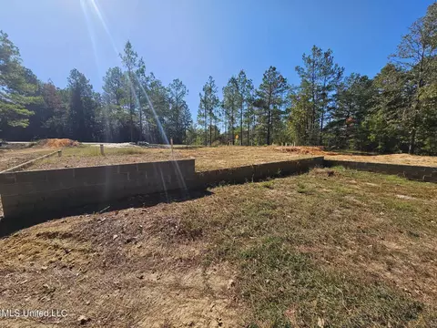 1 N Fork Ave, Petal, MS 39465 photo 7
