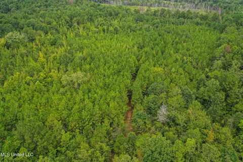 Harvey Road, Carthage, MS 39051 photo 18