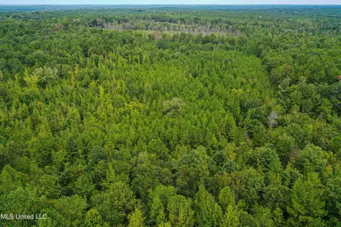 Harvey Road, Carthage, MS 39051 photo 11