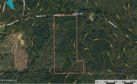 Harvey Road, Carthage, MS 39051 photo 3
