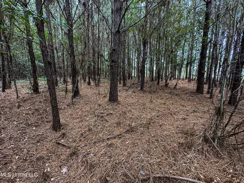 Harvey Road, Carthage, MS 39051 photo 16