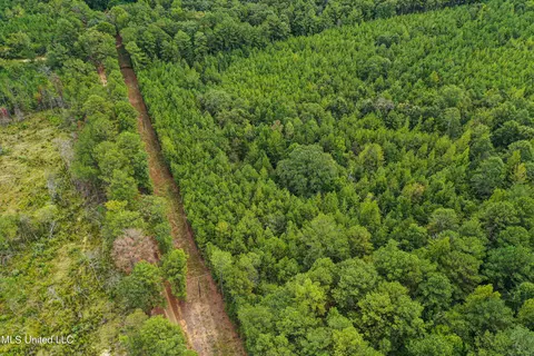 Harvey Road, Carthage, MS 39051 photo 17