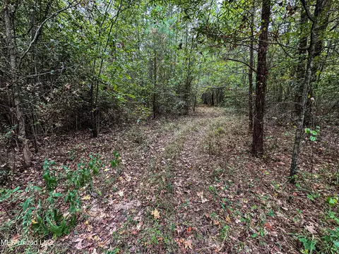 Harvey Road, Carthage, MS 39051 photo 12