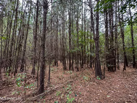 Harvey Road, Carthage, MS 39051 photo 8