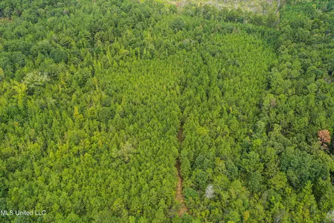 Harvey Road, Carthage, MS 39051 photo 20