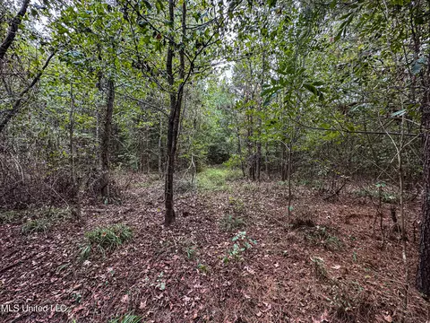 Harvey Road, Carthage, MS 39051 photo 10