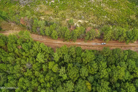 Harvey Road, Carthage, MS 39051 photo 15