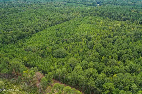 Harvey Road, Carthage, MS 39051 photo 22