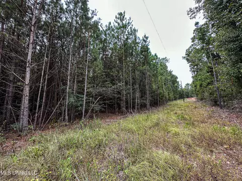 Harvey Road, Carthage, MS 39051 photo 5
