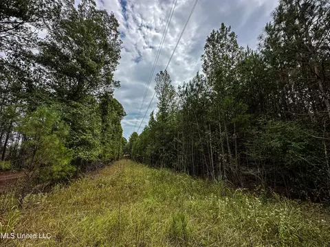 Harvey Road, Carthage, MS 39051 photo 2