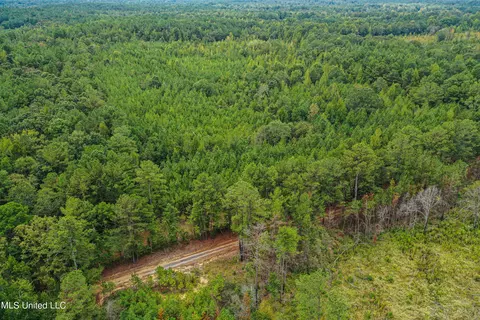 Harvey Road, Carthage, MS 39051