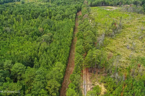Harvey Road, Carthage, MS 39051 photo 4