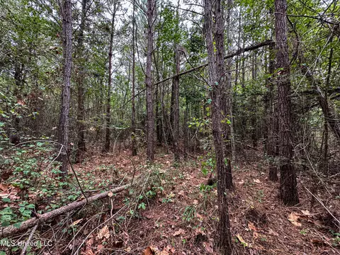 Harvey Road, Carthage, MS 39051 photo 14