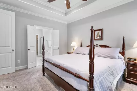 260 Falls Xing, Madison, MS 39110 photo 17