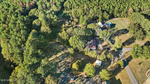 183 Shenandoah Dr, Florence, MS 39073 photo 56