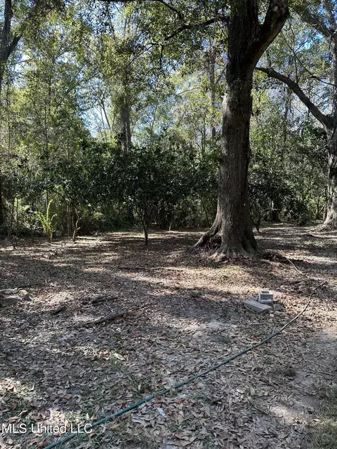 714 A Mitchell St, Picayune, MS 39466 photo 19
