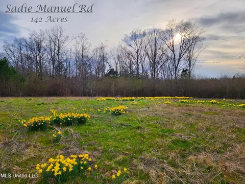 Sadie Manuel Road, Holly Springs, MS 38635