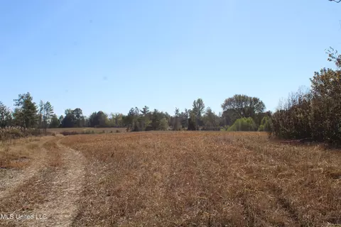 0 S Baldwin Rd, Hernando, MS 38632 photo 31