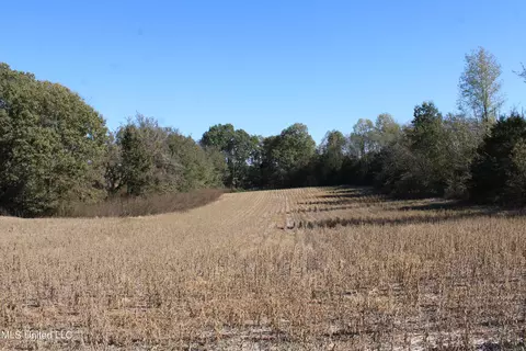 0 S Baldwin Rd, Hernando, MS 38632 photo 37