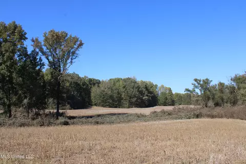 0 S Baldwin Rd, Hernando, MS 38632 photo 12