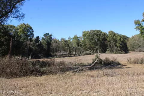 0 S Baldwin Rd, Hernando, MS 38632 photo 11