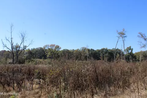 0 S Baldwin Rd, Hernando, MS 38632 photo 6