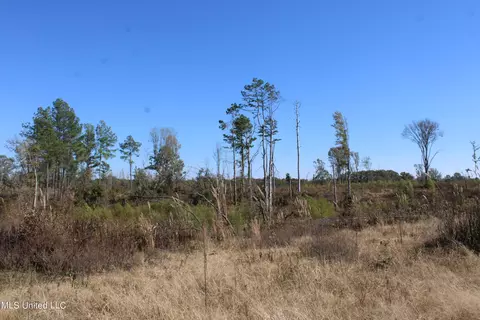 0 S Baldwin Rd, Hernando, MS 38632 photo 34